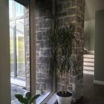 creative_design_group_architects_dublin66-150x150 Residential Project Photos architects design